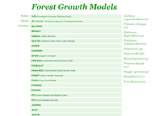 Tablet Screenshot of models.etiennethomassen.com